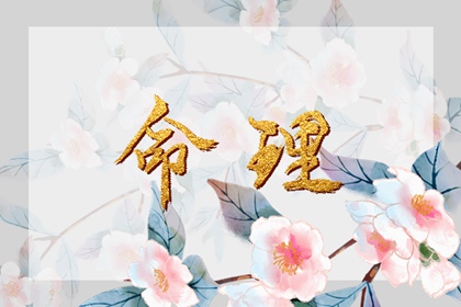 万年历老黄历大全,吉日查询老黄历,黄历老黄历查询